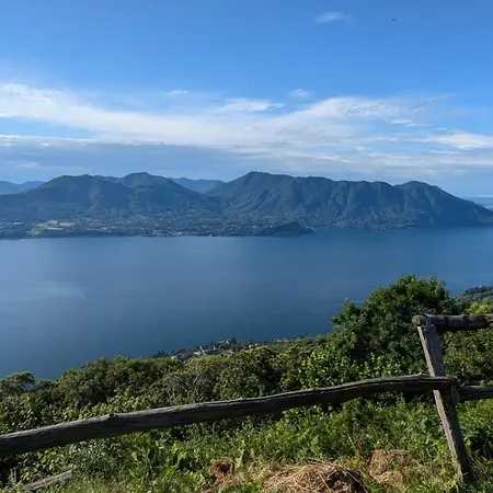 Montino Coliving 旅馆
