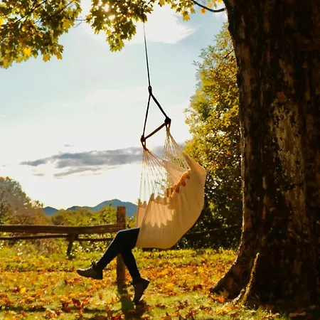 Hostel Montino Coliving