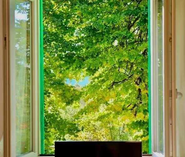 Montino Coliving Albergue